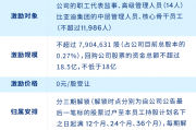 长期激励案例分享：新能源汽车行业驱动业务卓越的成功之路